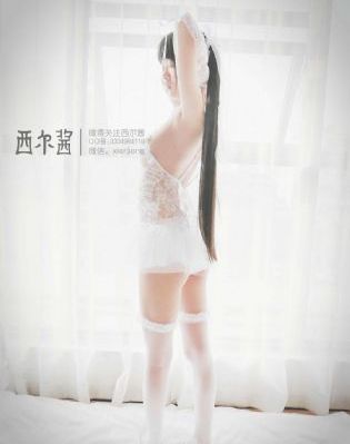 柳舟记电视剧免费播放