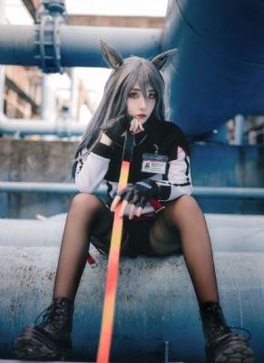 传家在线观看免费观看完整版